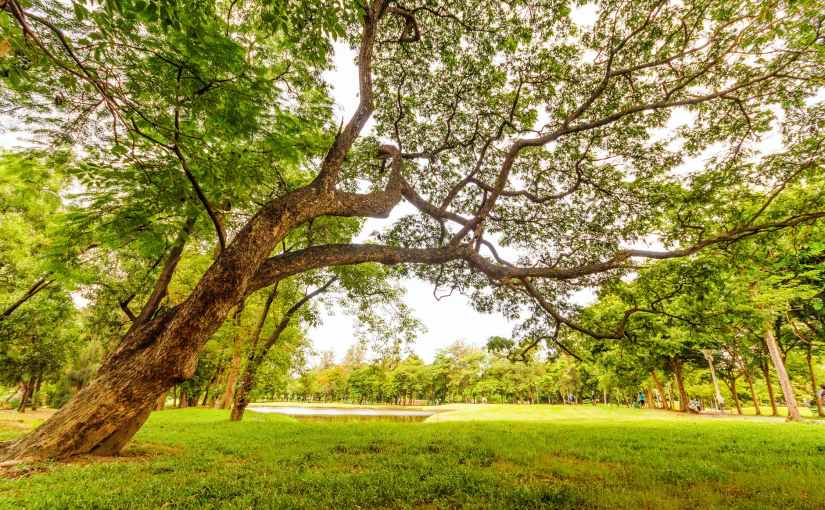 Newsletter from 11/18/21